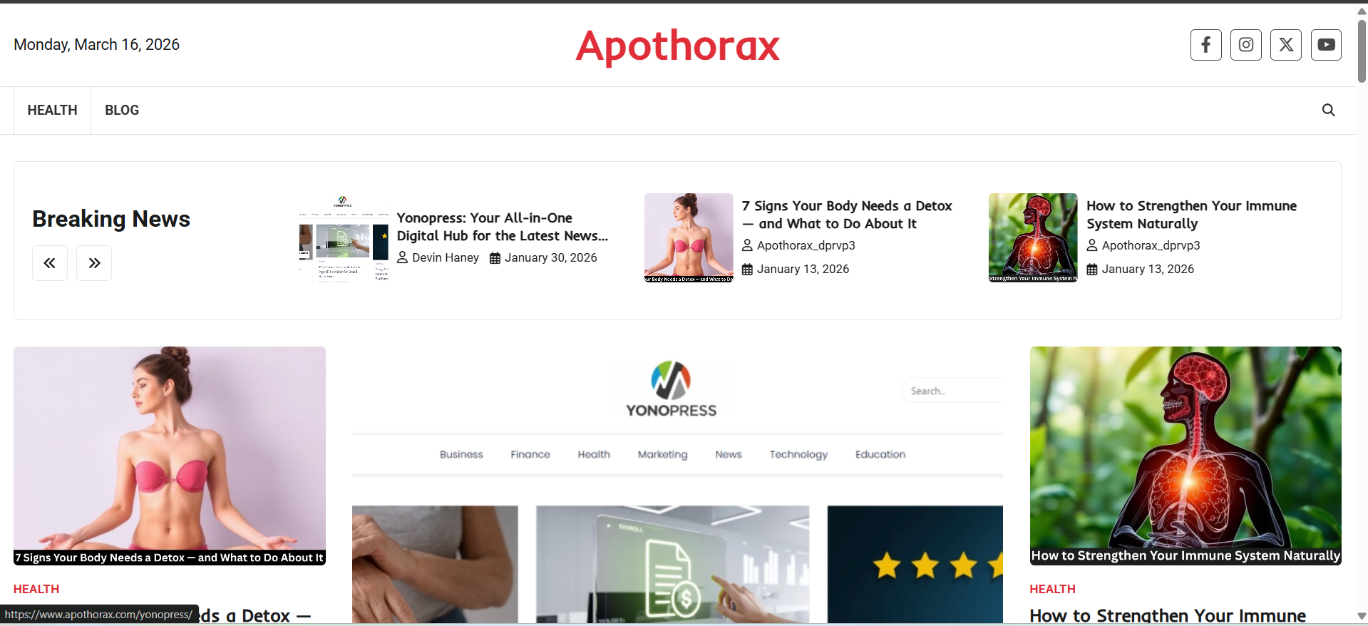 Apothorax